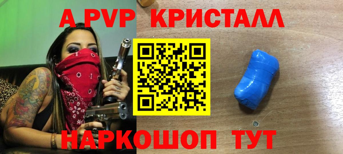 A PVP СК КРИС Саранск