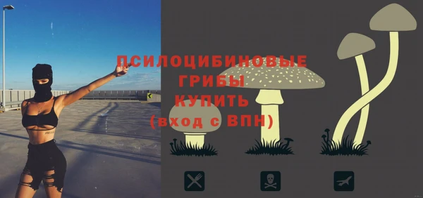 МДПВ Алексин