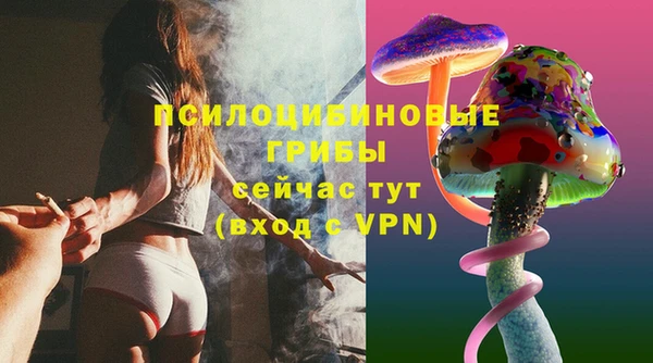МДПВ Алексин