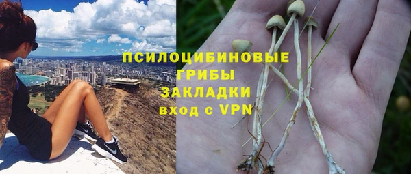 МДМА Алексеевка