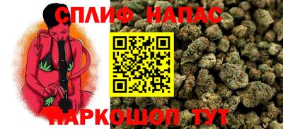 гашик Обнинск
