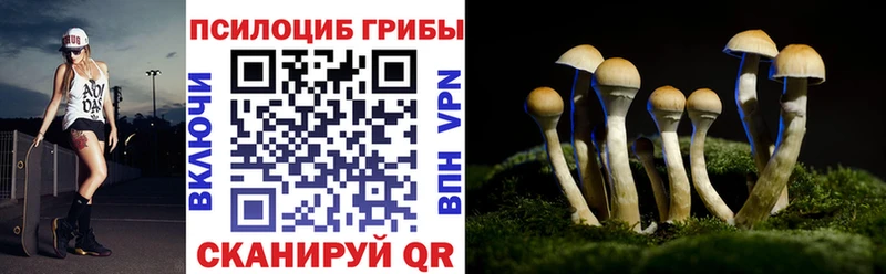 что такое наркотик  мега рабочий сайт  Галлюциногенные грибы MAGIC MUSHROOMS  Саранск 