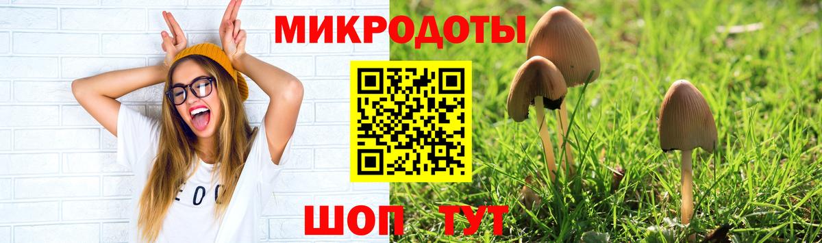 Псилоцибиновые грибы Cubensis Саранск