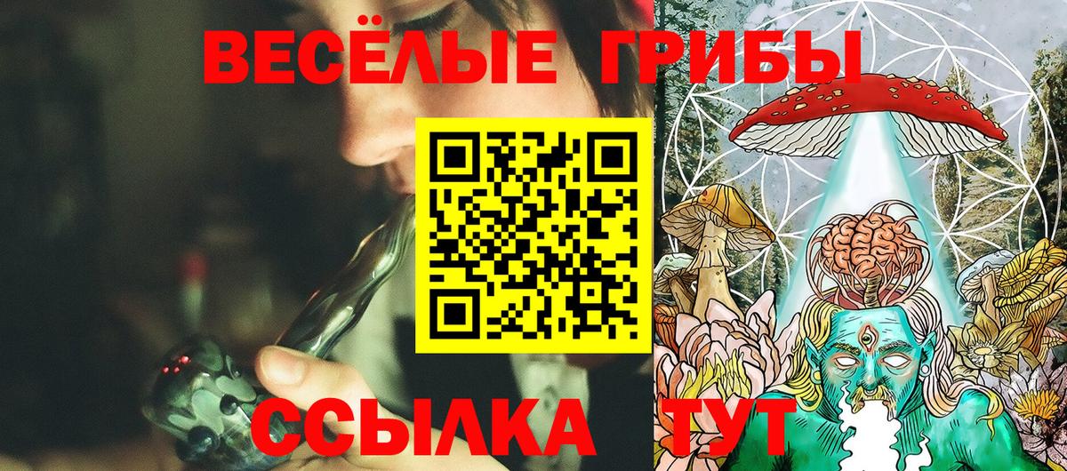 Галлюциногенные грибы Psilocybine cubensis  Вход с VPN  Саранск  Псилоцибиновые грибы Psilocybe 